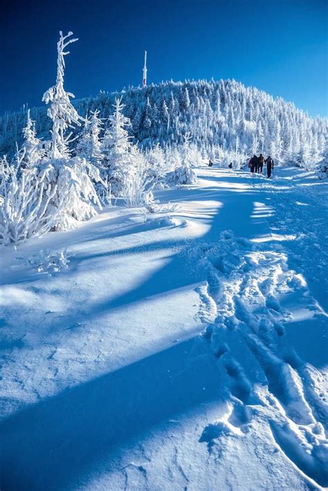 Lysa Hora Hill In Winter Moravskoslezske Beskydy Mountains Stock Photo