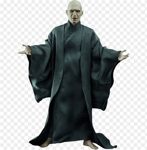 Harry Potter Lord Voldemort Sixth Scale Figure By Star Lord Voldemort