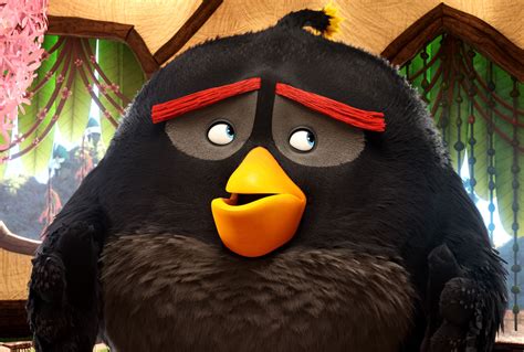 Angry Birds Cast Interview With Bill Hader And Jason Sudeikis Collider