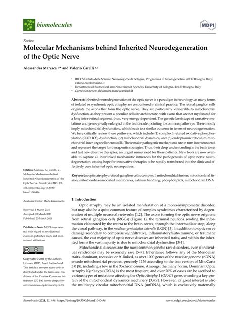 Pdf Molecular Mechanisms Behind Inherited Neurodegeneration Of The
