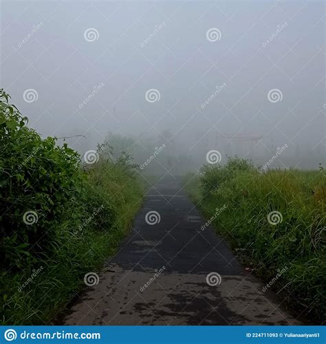 Misterious Morning On The Foggy Road Stock Image Image Of Morning