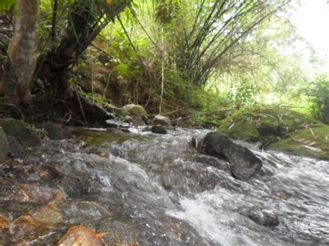 See more of pejabat daerah tanah hulu langat on facebook. TANAH DUSUN BUAH-BUAHAN DI HULU LANGAT