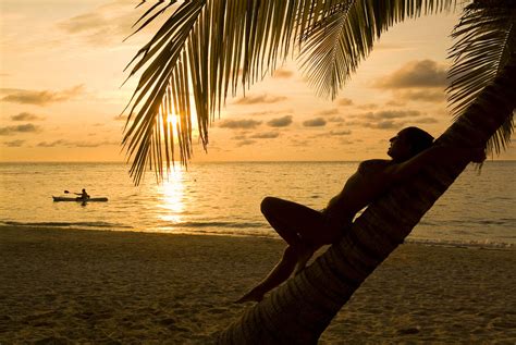 Woman Resting On A Palm Tree At Sunset Photograph By Richard Nowitz