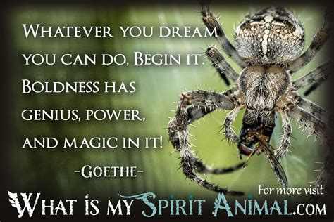Spider Quotes And Sayings Animal Quotes And Sayings
