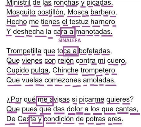 Lee El Siguiente Poema Cuento Las Silabas M Tricas De Cada Uno De Los