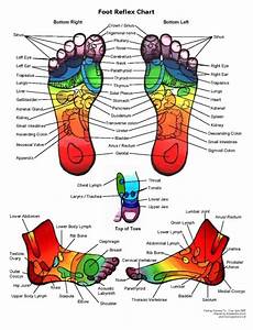 Reflexology Chart Feet