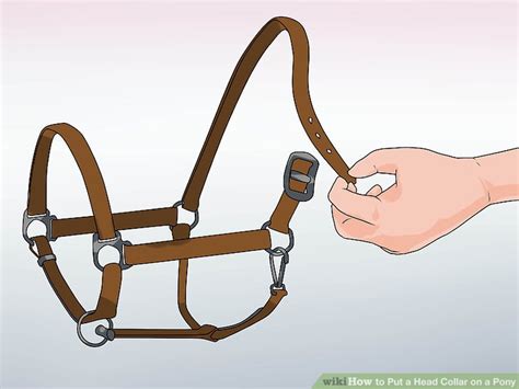 It fits over the back of the neck, just behind the ears and across or around the muzzle. How to Put a Head Collar on a Pony: 10 Steps (with Pictures)