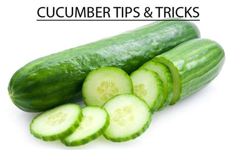Cucumber Tips And Treats My Site