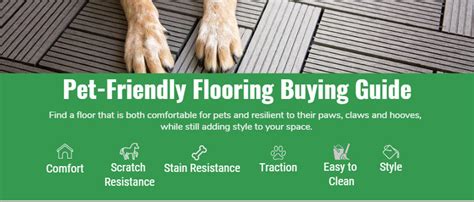 Whats The Best Dog Friendly Flooring Pet Friendly Flooring