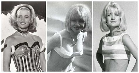 49 Judy Geeson Nude Pictures Brings Together Style Sassiness And