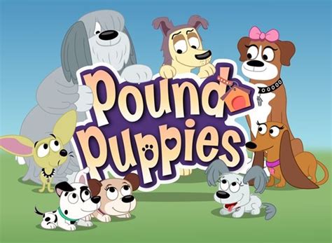 Watch pound puppies 2010 season 3 full episodes online free kisscartoon. Pound Puppies (2010) TV Show Air Dates & Track Episodes - Next Episode