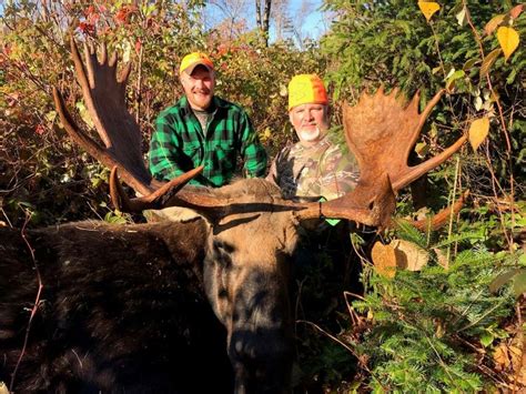 Guided Trophy Maine Moose Hunts Meals And Lodging Included