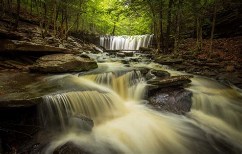 Wallpaper Forest River Waterfalls Pa Cascade Pennsylvania