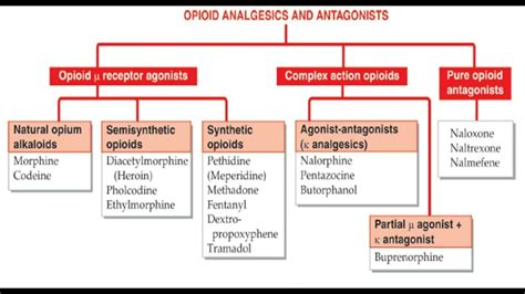 Opioid Analgesics And Antagonists YouTube