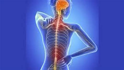 La gran desconocida, ela, esclerosis lateral amiotrófica. ELA: Qué es, causas, síntomas y tratamiento
