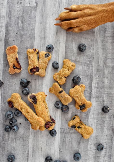 Easy 4 Ingredient Blueberry Dog Treats Sprinkles And Sea Salt Recipe