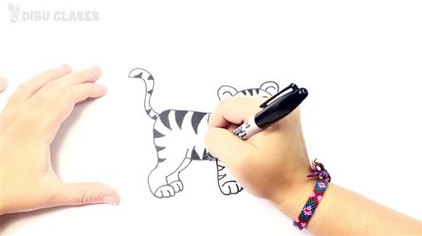 Cómo dibujar un Tigre paso a paso Dibujo fácil de Tigre
