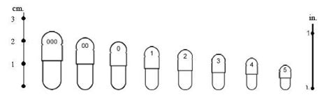If you have printed correctly, the capsule drawings should be actual size. Tamping Pin Capsule Filling machine Vs. Dosator Type ...