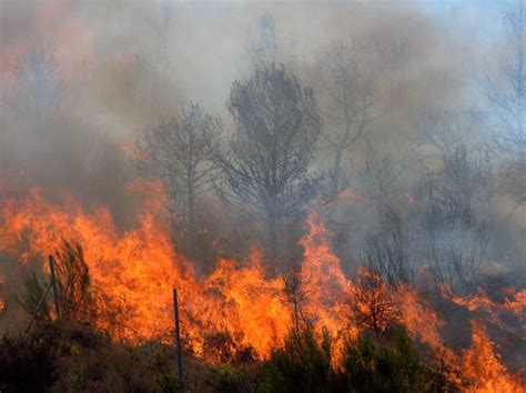 Incendies Feux De Forêt Inforisques