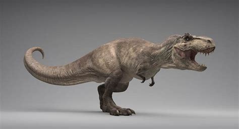 Tyranozaur Rex Świat Dinozaurów