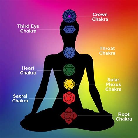 Chakras And The Channels Of Energy Vinyasa Yoga Academy