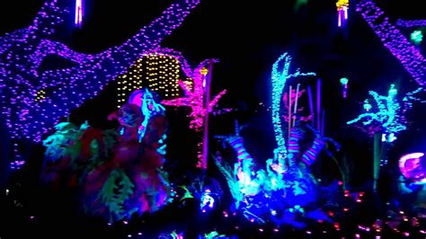 The film is about a penniless man who falls in love with a flower girl. Houston zoo lights 2015 - YouTube