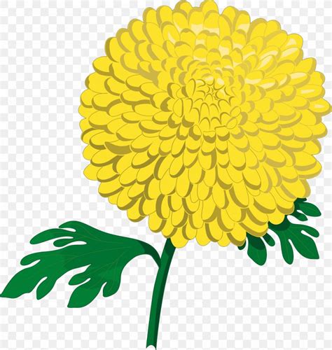 Chrysanthemum ×grandiflorum Flower Clip Art Png 2415x2550px Chrysanthemum Bud Cartoon