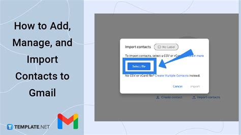 How To Add Manage And Import Contacts To Gmail