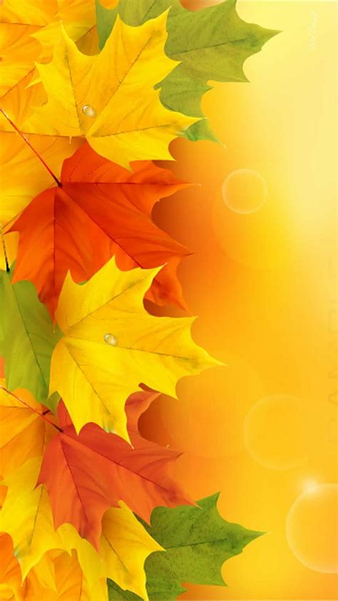 Autumn Leaves Orange Yellow Hd Phone Wallpaper Peakpx