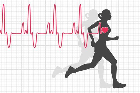 Your heart rate increases in response to exercise. Your Heart Rate - The Heart Foundation