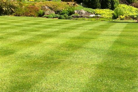 The Complete Guide For Learning How To Mow A Lawn The Manual