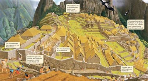 Details About Machu Picchu Inca Historical Illustration Columbian