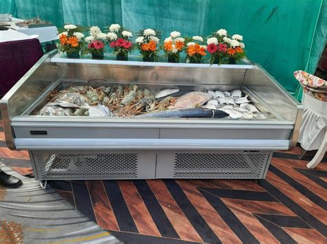 Stainless Steel Fish Display Counter For Catering At Best Price In