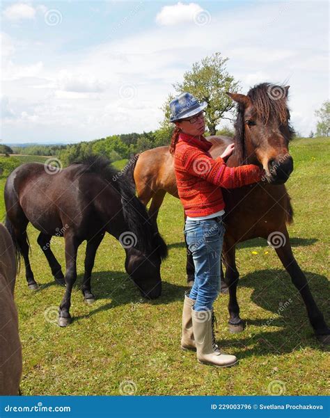 Breeder of Horse of the Hucul Horse Breed on Pasture Stock Photo