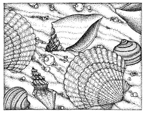 Your kid will enjoy coloring all of the creatures with our free coloring pages. Wonderful Beach Coloring Pages | 101 Coloring