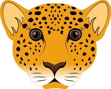 Leopard Face Clipart Free Download Transparent Png Creazilla
