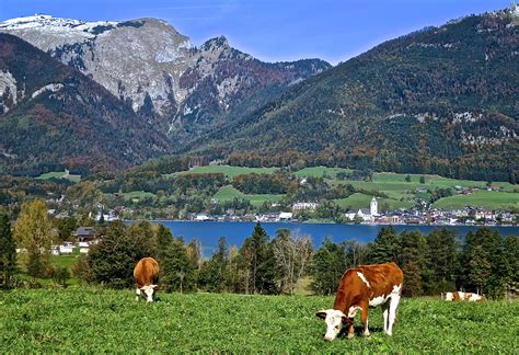 The Beautiful Lakes District Of Austria Back Road Journal