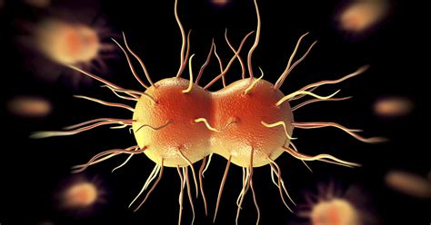 Drug Resistant Super Gonorrhea Could Be Untreatable Doctors Warn