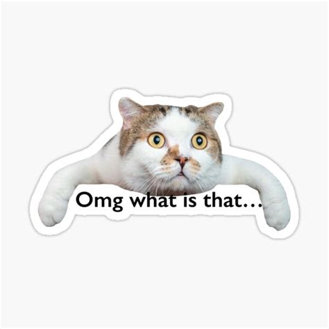Omg What Is That Shocked Cat Meme Sticker For Sale By Qtfonts Redbubble