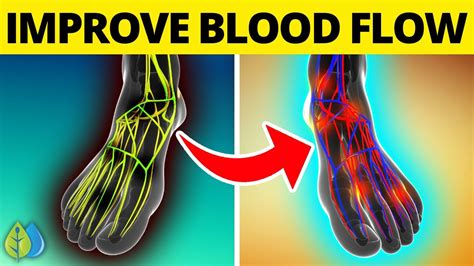 Top 8 Ways To Improve Blood Flow To Legs And Feet Improve Blood