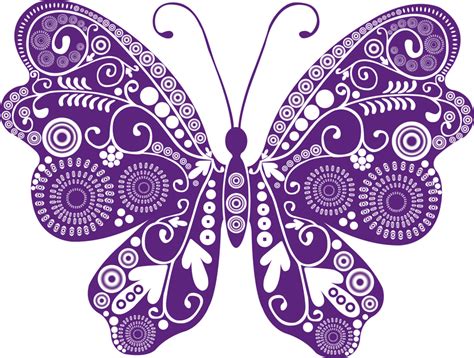 Butterfly Illustration With Swirls Vector Download