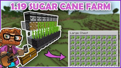 Sugar Cane Farm Minecraft 1 19 Tutorial Using Mud Block EASY