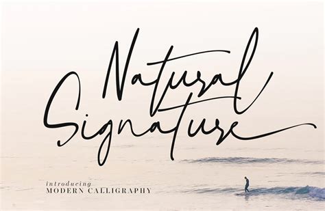 Download Natural Signature Font Free Script Fonts