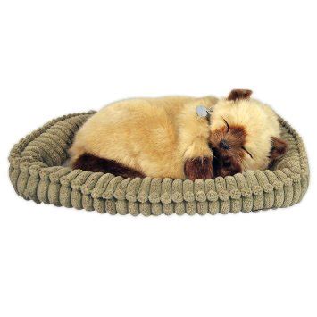 We just discovered them and they are darling! Perfect Petzzz Breathing & Sleeping Toy Kitten - Tan ...