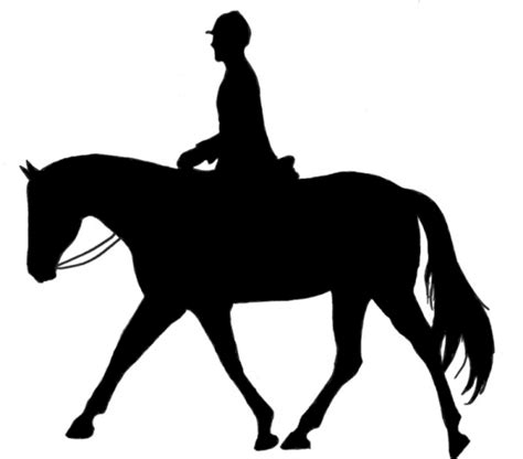 Cartoon Horseback Riding Clipart Best