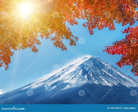 Mount Fuji In Autumn Color Japan Stock Photo Image Of Colour Asia