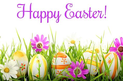 Happy Easter Daisies Easter Eggs Holiday Grass Eggs Flowers