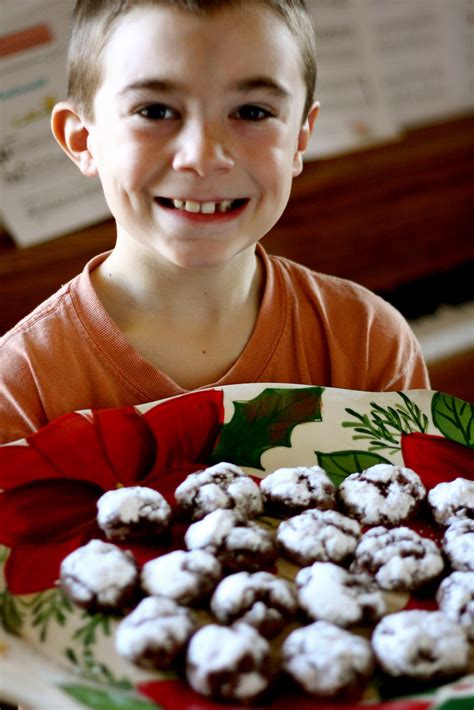 Aunt sally's christmas cookie company is sold to a large conglomerate and executive hannah must seal the deal and shut down the factory, which is the small town of cookie jar's lifeblood. my life in a house full of boys: 25 days of cookies ...
