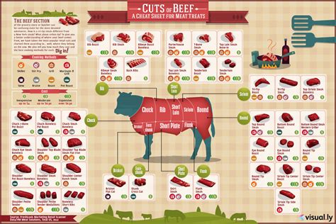 Printable Beef Cuts Chart Poster Printable Word Searches