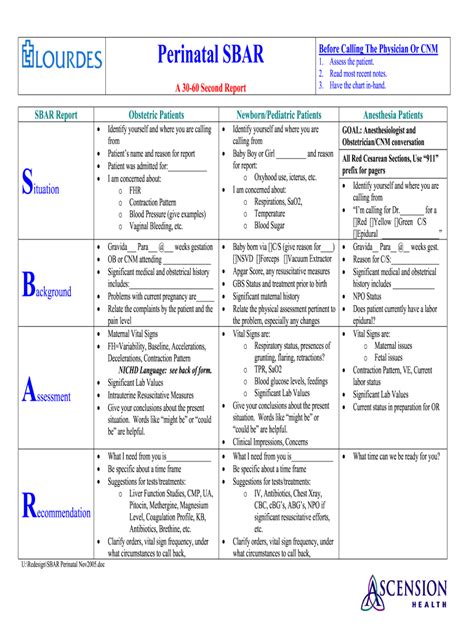 Sbar For Pain Fill Out And Sign Printable Pdf Template